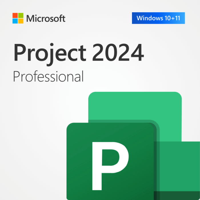 project-2024